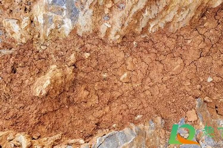 蚕豆种植时对土壤和肥料有什么要求？如何施肥？