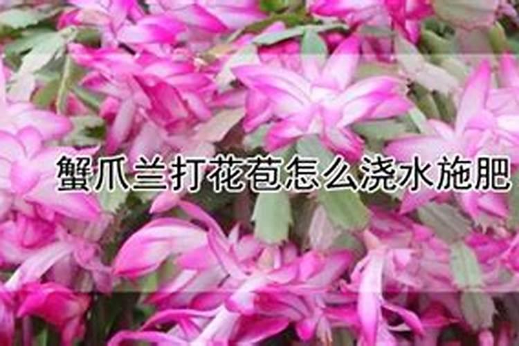 山西天脊复合肥多少钱一吨,谁知道啊