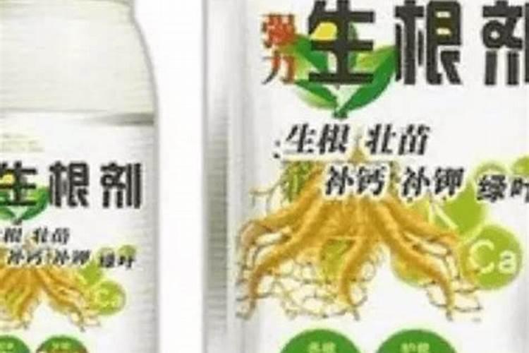 葡萄生根肥用什么好