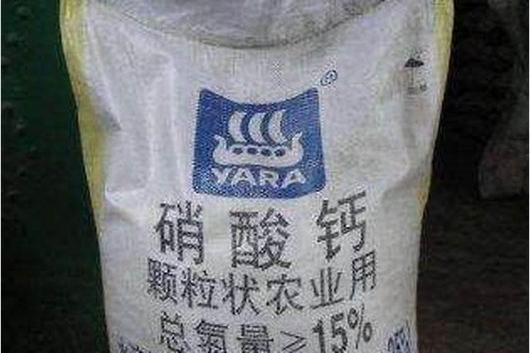 四季葱的栽培技术