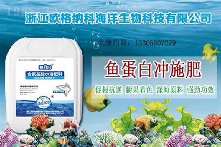 荔枝开花施什么肥