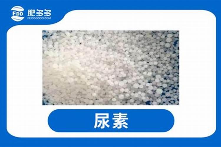 怎么给樱花树施肥