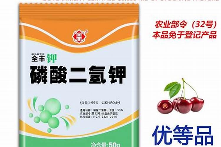 茶花是喜肥的花卉,如何正确地给茶花施肥？