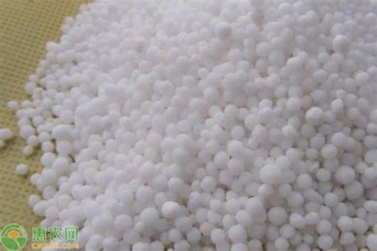 南极的鱼能在冰天雪地中健康成长,主要因为体内有什么？