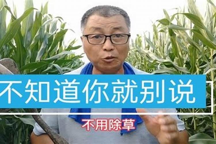 现在玉米接棒的时候要不要追肥？为何这么说？