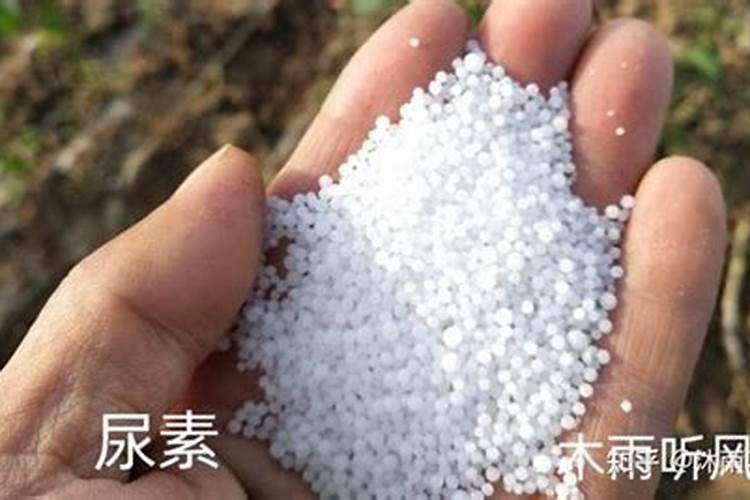内蒙古通辽地区玉米秸秆还田应注意哪些