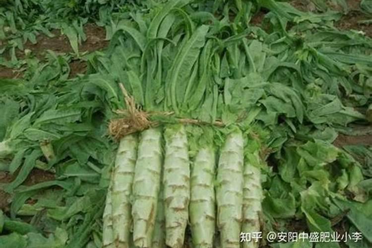 如何分辨钾肥真假？