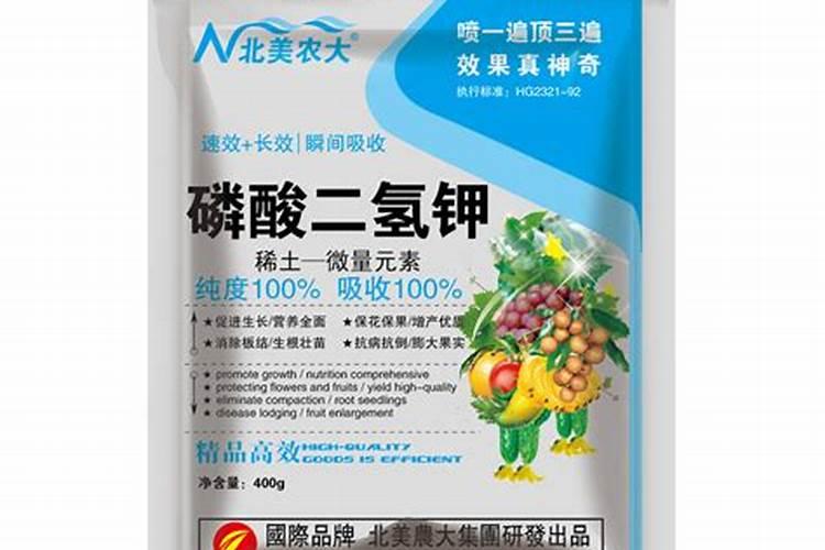 含钙量高的蔬菜有哪些？