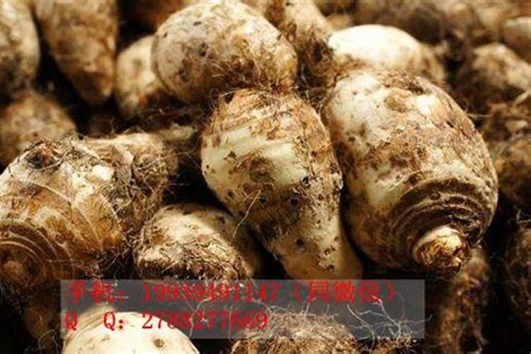 种西瓜用什么肥料,一亩地用多少