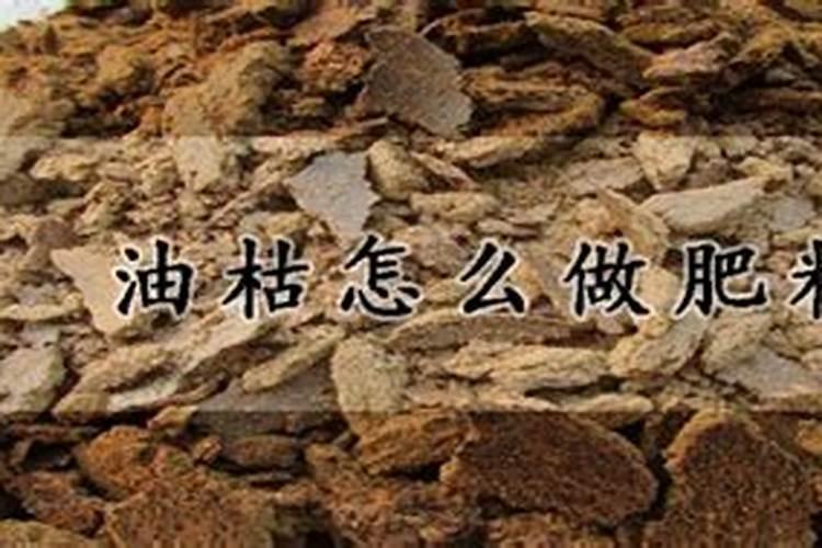 蕾莉欧海藻精华多少钱？