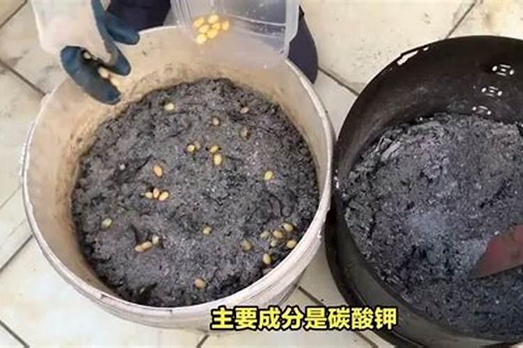 土豆需钾量很高,请问可以施加氯化钾吗？