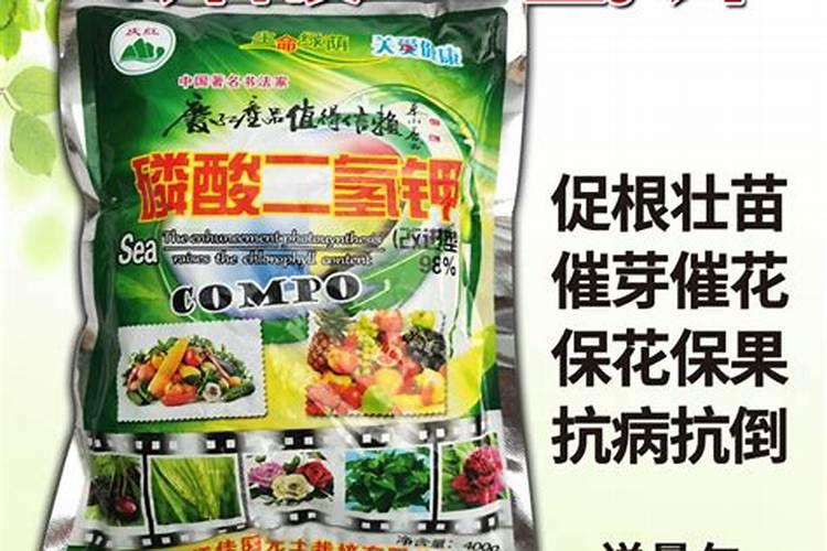 海棠花施什么肥好
