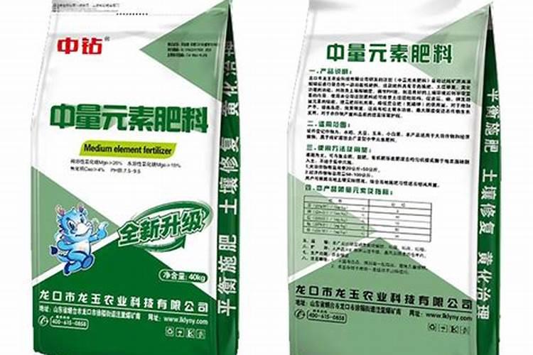 温州旅游,有哪些推荐购买的土特产？