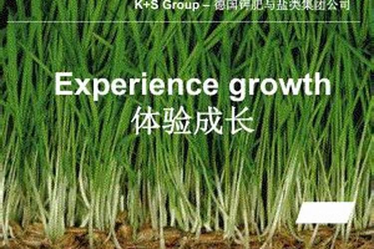 钾矿全球钾矿资源总量