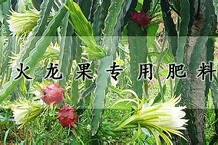 什么水果含钾最高排名