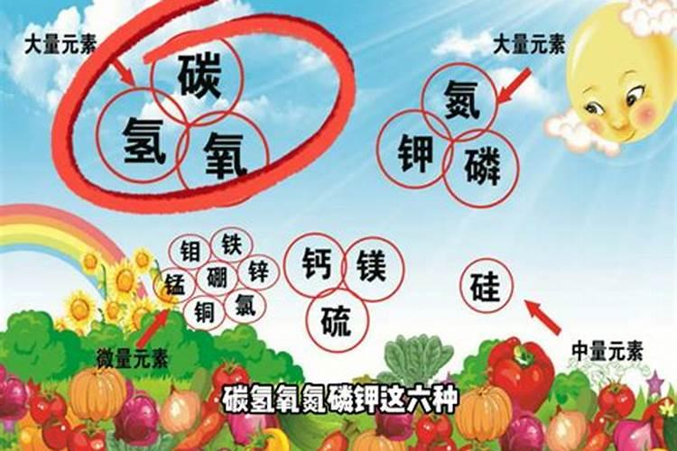 大量元素水溶肥的作用与功效 不同种类大量元素水溶肥料的用途百度知 ...