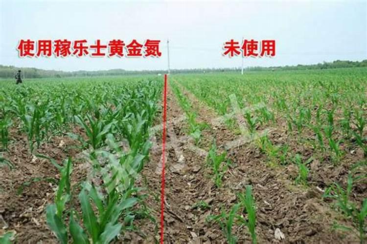 园林绿化用什么肥料