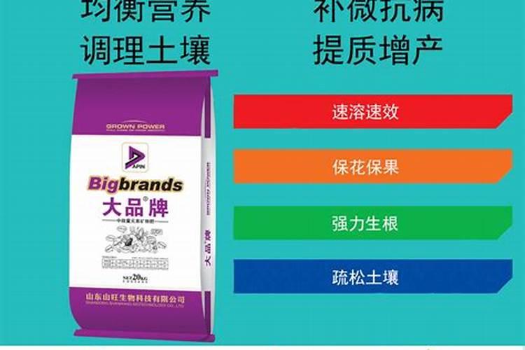 月季花移栽后多久可以施肥