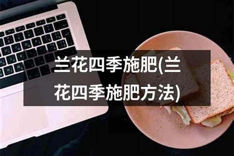 兰花什么时候施氮磷钾？