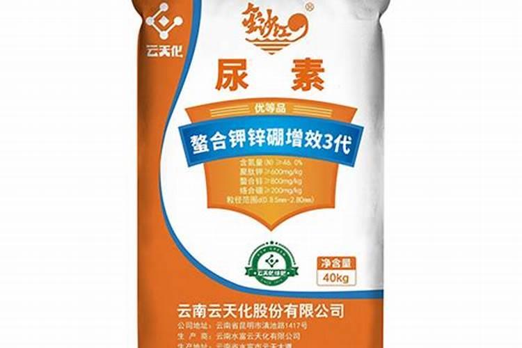 向日葵四个生长阶段的管理