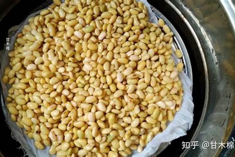 黄豆发酵后的肥料是什么