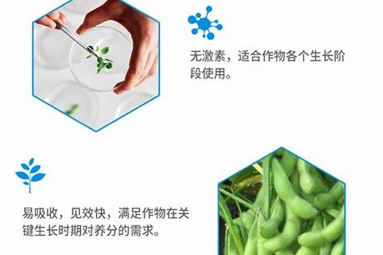 叶面肥哪个牌子好？