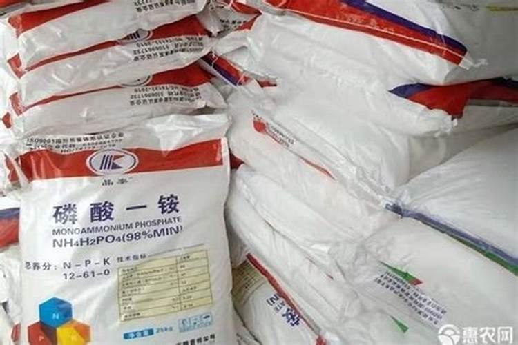 韭菜叶片为什么会变黄？该怎么解决？