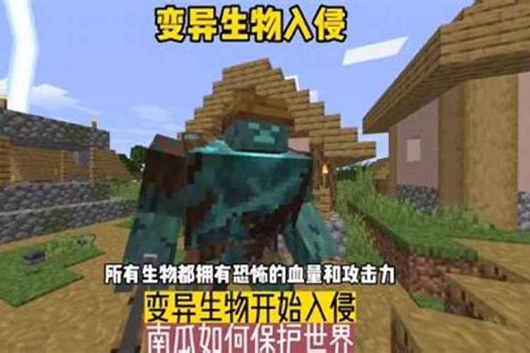 南瓜化瓜的原因