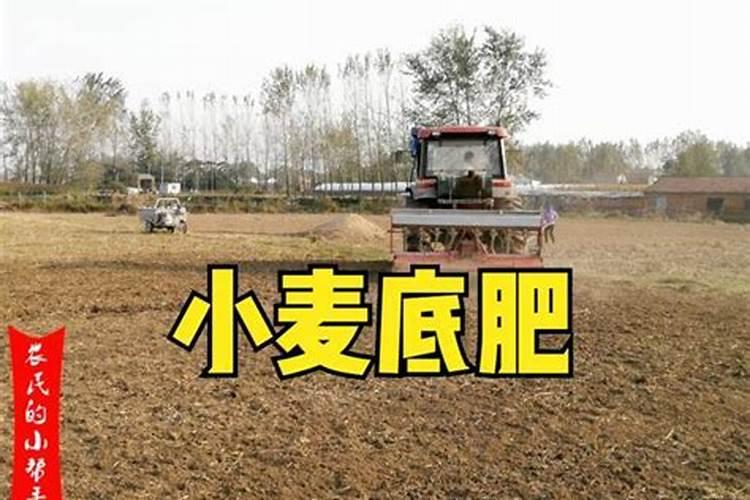 磷肥一亩地用多少