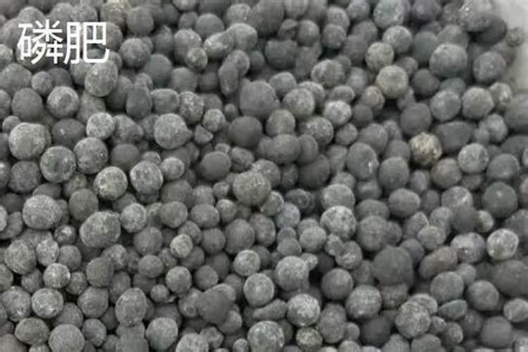花椒树上什么肥料
