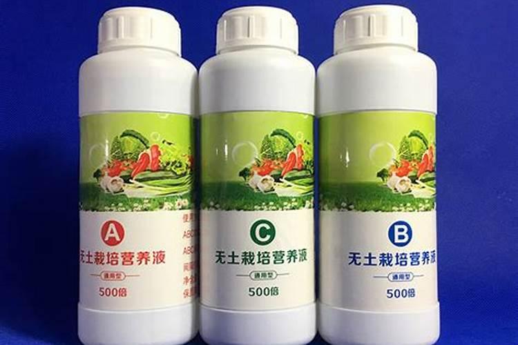 莴笋什么时候打矮壮素
