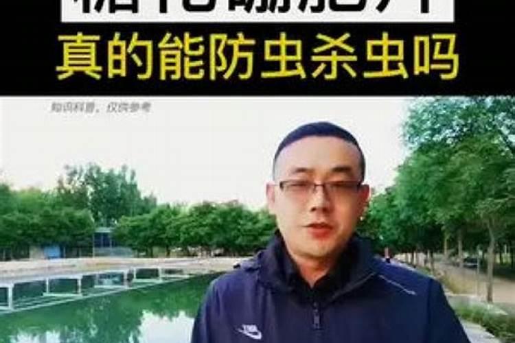 糖化硼可以在客厅用吗有毒吗