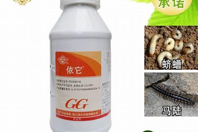 草坪可以用辛硫磷科粒杀虫吗