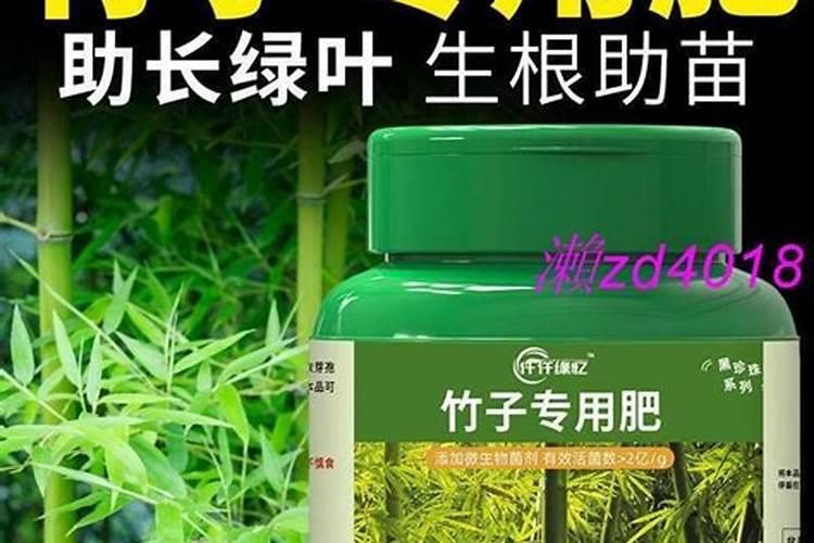 夏威夷竹子的养殖方法和注意事项