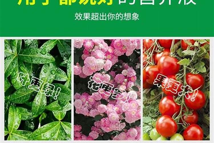 腐殖酸钠属于碱性还是酸性 一亩用量多少