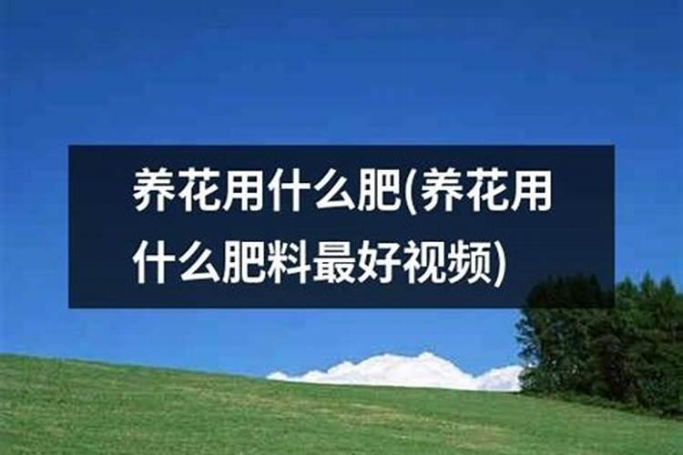 番茄养根肥有哪些