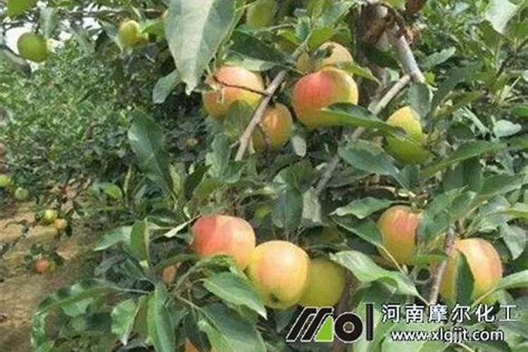 化肥农药好卖吗