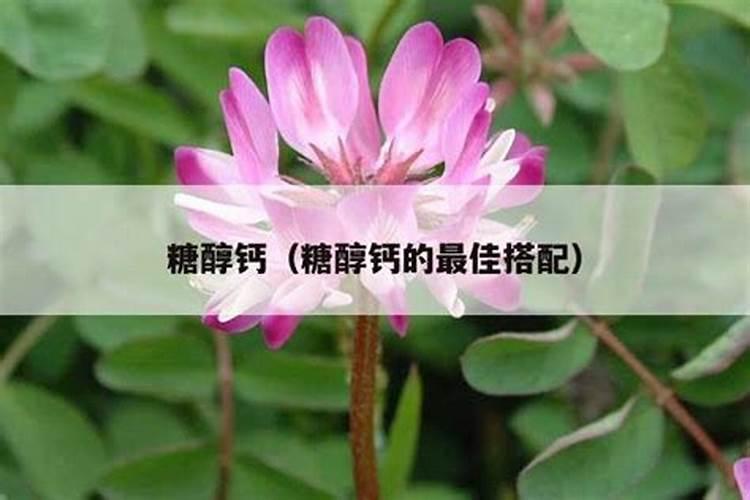 双藻钙镁中量元素水溶肥料,功效