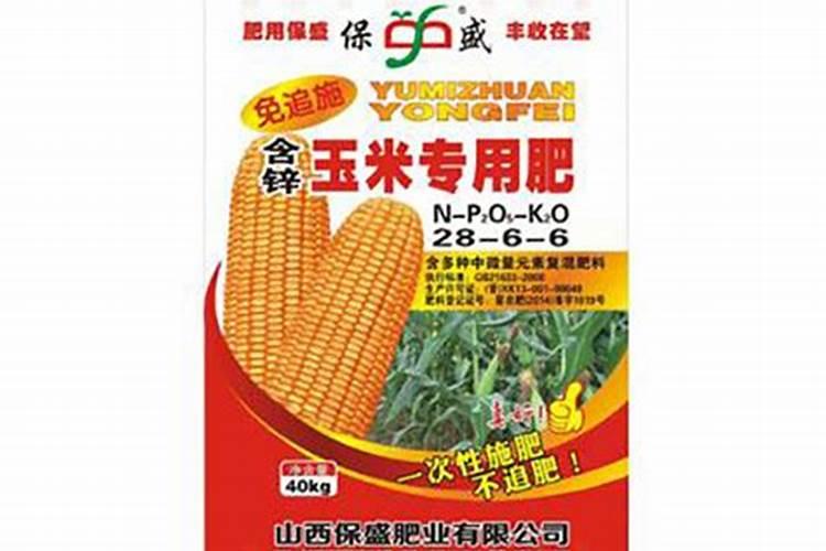 玉米品种玉米品种龙高L2的栽培要点