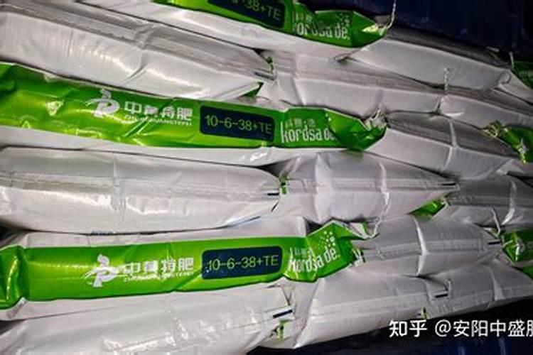 叶面肥有用吗