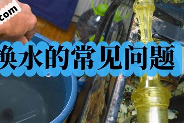 绿萝最好的肥料是啥