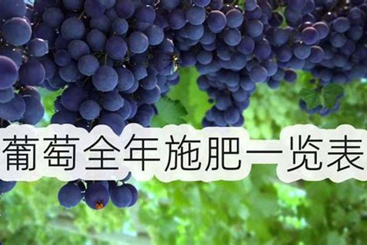 葡萄树一年需施多少氮磷钾肥料