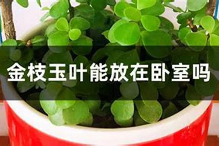 莴笋在我国的栽培面积是非常大的,莴笋怎么施肥成效好？