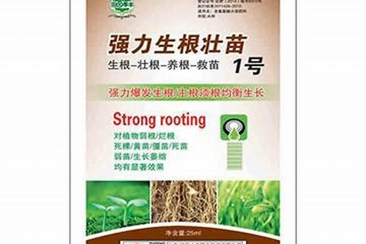 果苗施什么肥长得快
