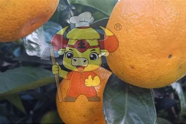 草莓缺磷症症状