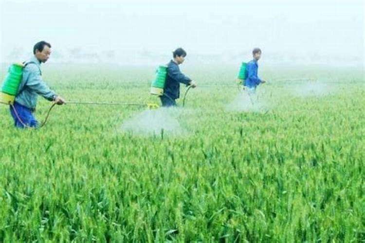 如何区分肥料是否合格