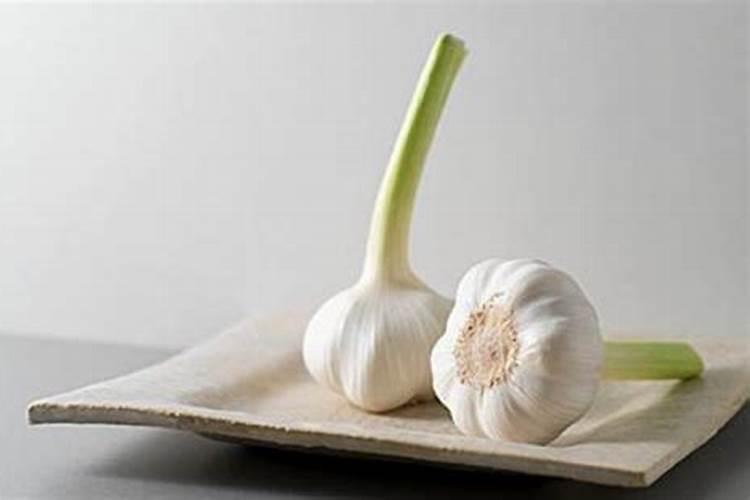种大蒜用什么肥料最好
