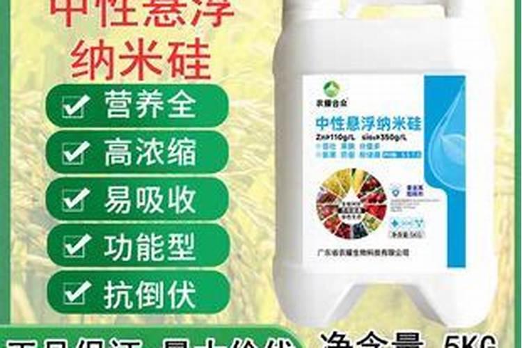 竹子是怎么长成竹林的？