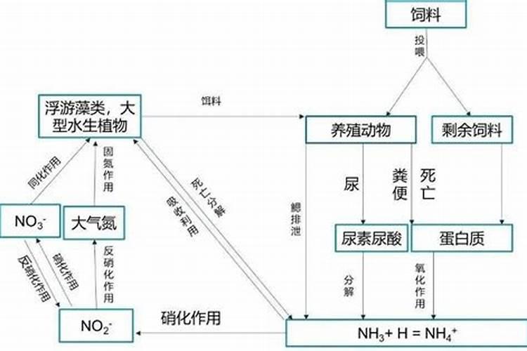 沼泽过滤的优点和缺点