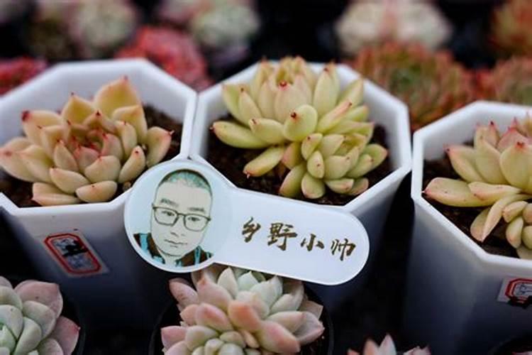 江西中微肥木醋液